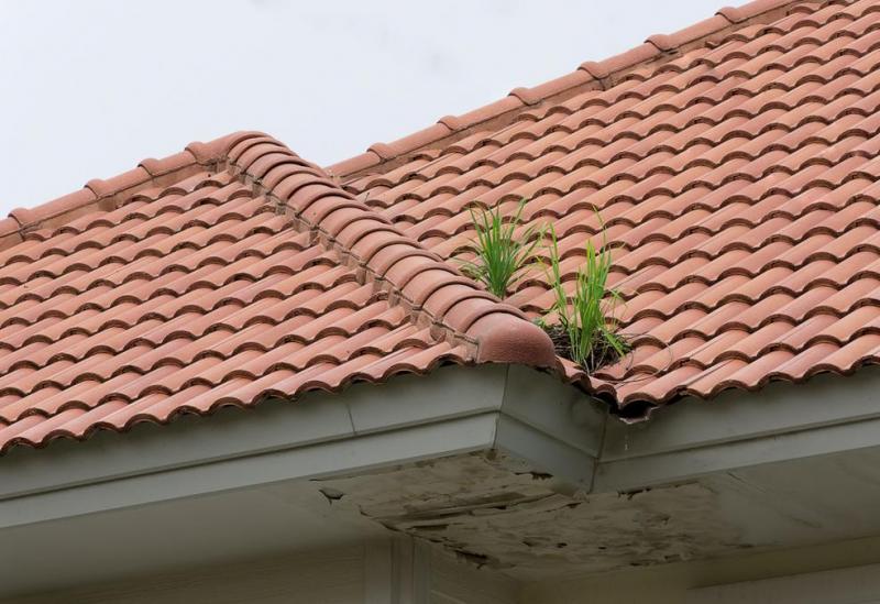 Comment reconna&icirc;tre les signes d'un d&eacute;faut d'&eacute;tanch&eacute;it&eacute; sur votre toiture &agrave; La Farl&egrave;de ?