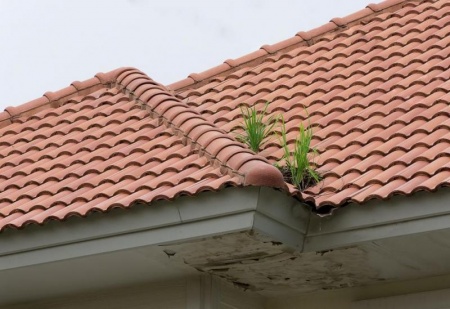Comment reconna&icirc;tre les signes d'un d&eacute;faut d'&eacute;tanch&eacute;it&eacute; sur votre toiture &agrave; La Farl&egrave;de ?